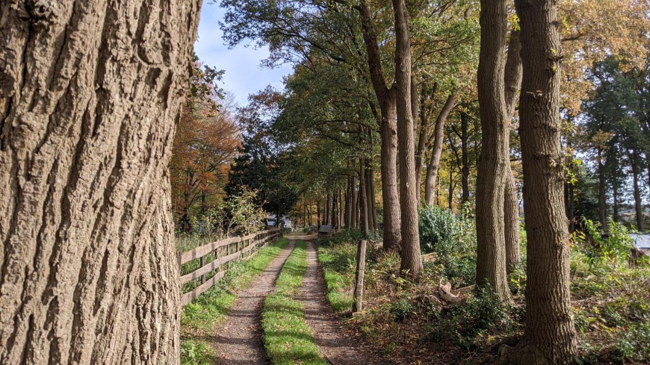 Chalet Op De Veluwe # Linde Putten Kültér fotó