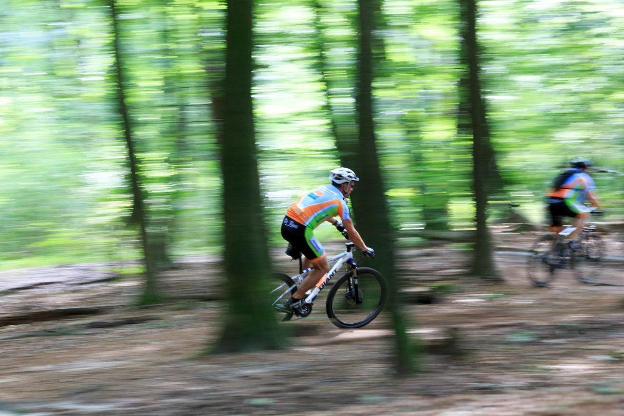 Chalet Op De Veluwe # Linde Putten Kültér fotó