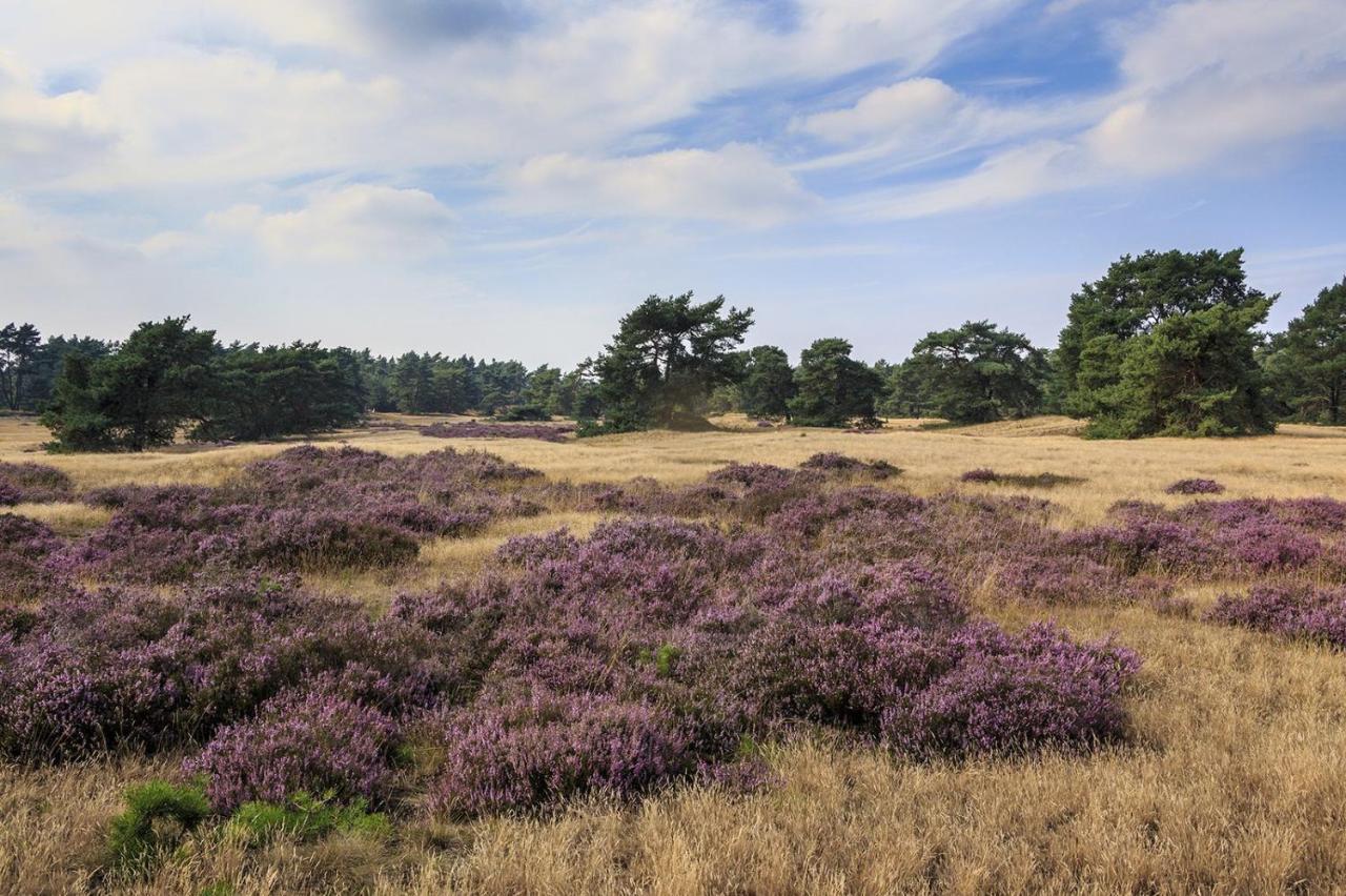 Chalet Op De Veluwe # Linde Putten Kültér fotó